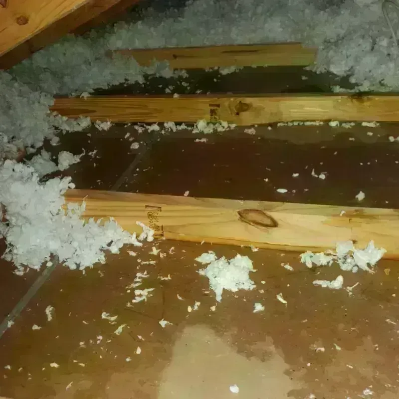 Attic Water Damage in Macon, IL