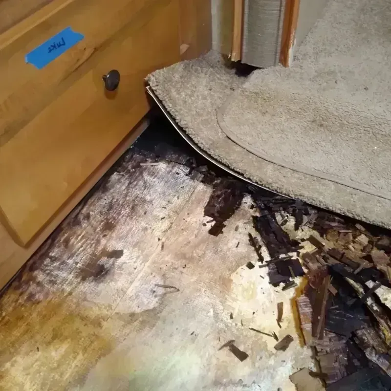 Wood Floor Water Damage in Macon, IL